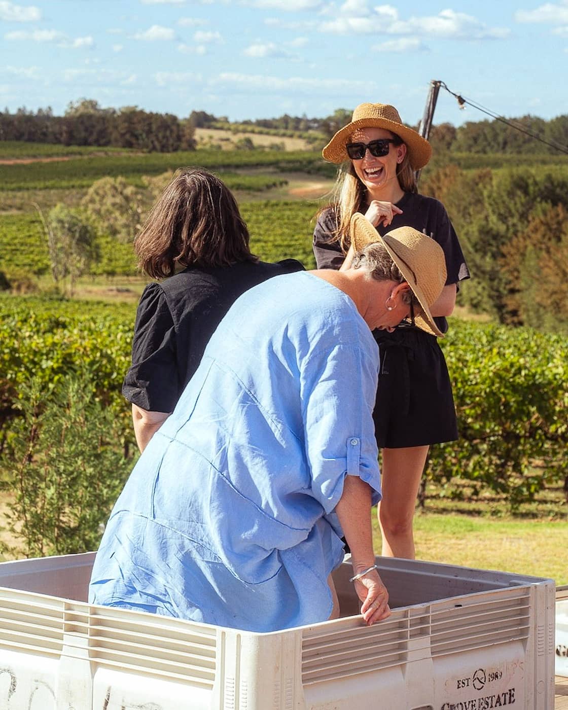 Grape Harvest Festival, Parga
