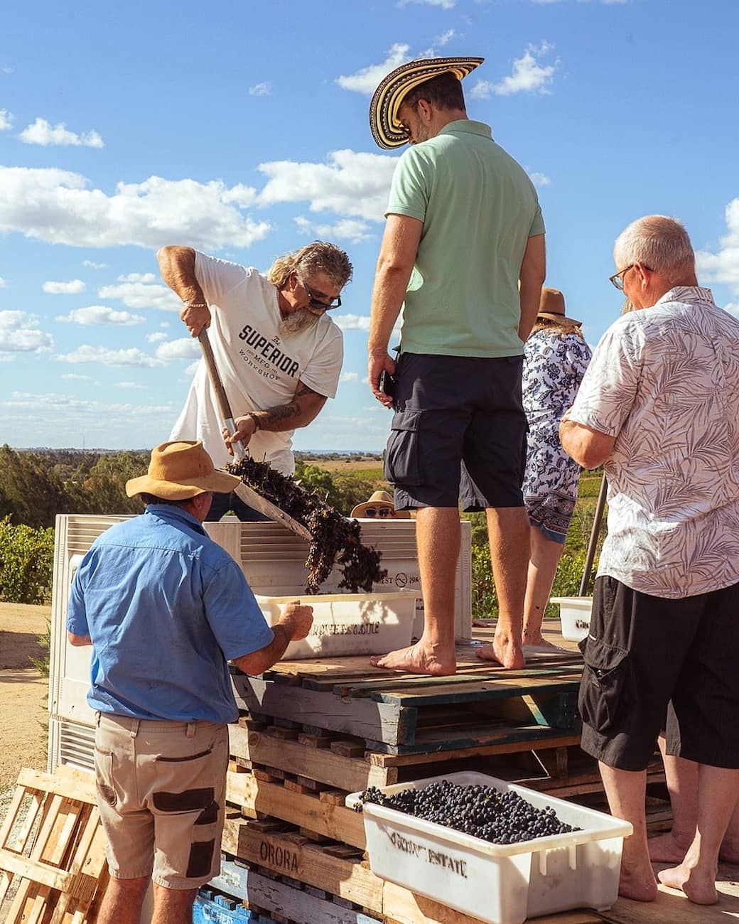 Grape Harvest Festival, Parga
