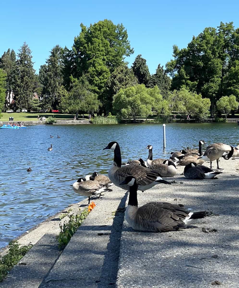 Green Lake Park, Seattle