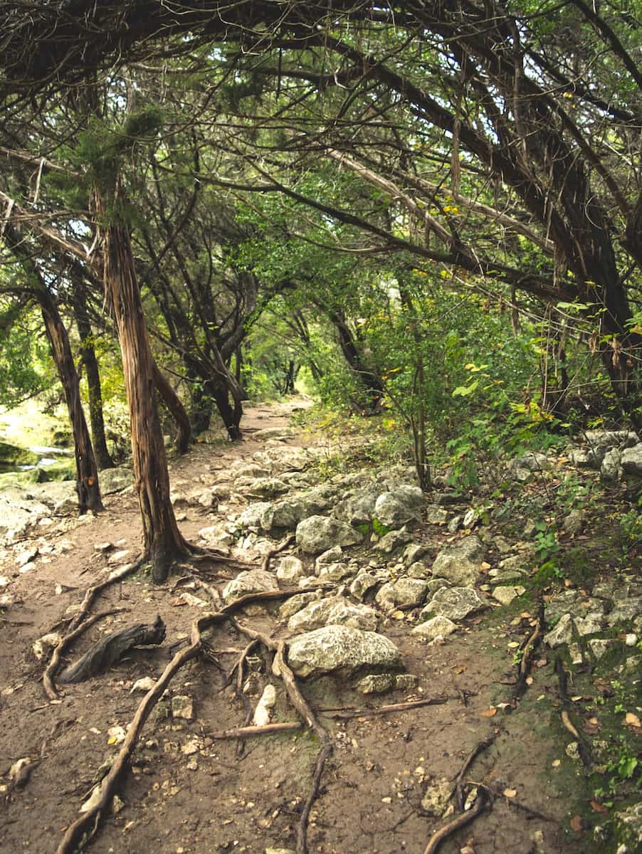 Hiking Barton Creek Greenbelt Austin