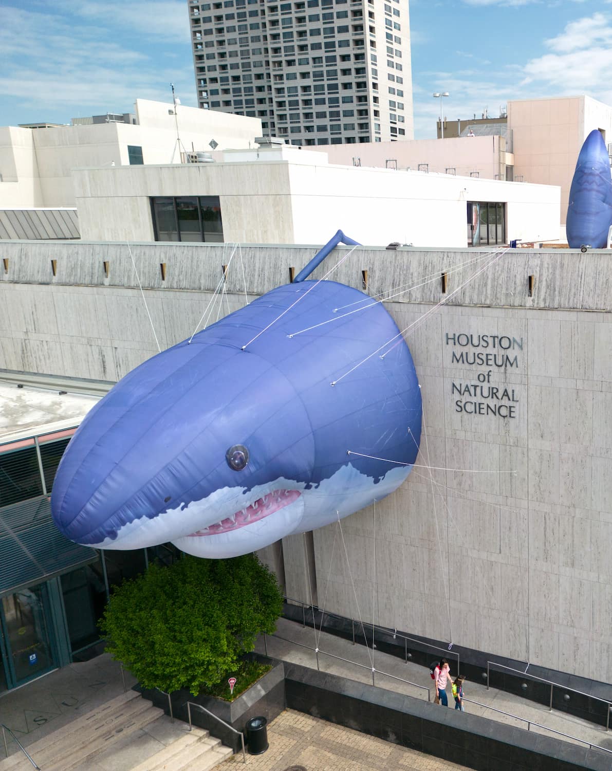 Houston Museum of Natural Science