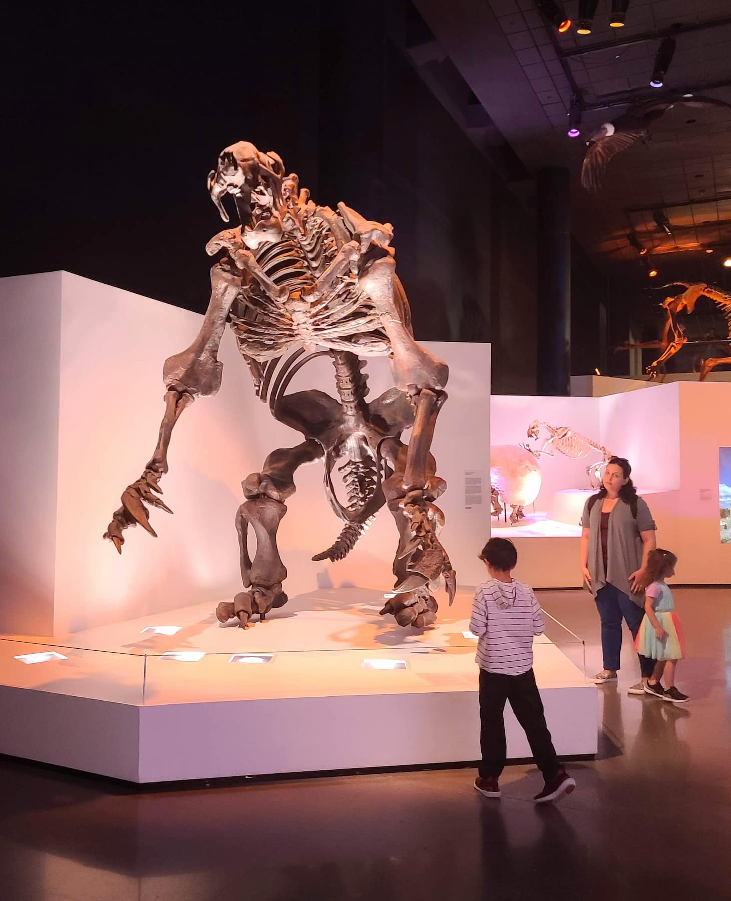 Houston Museum of Natural Science