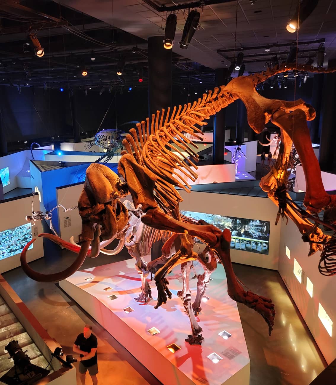 Houston Museum of Natural Science