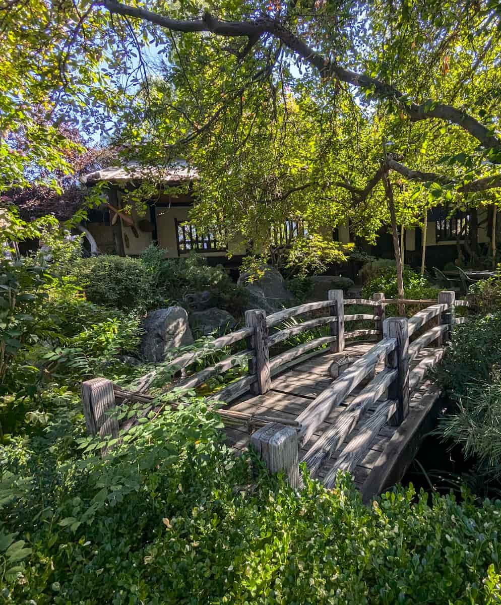 Japanese Garden, Colorado