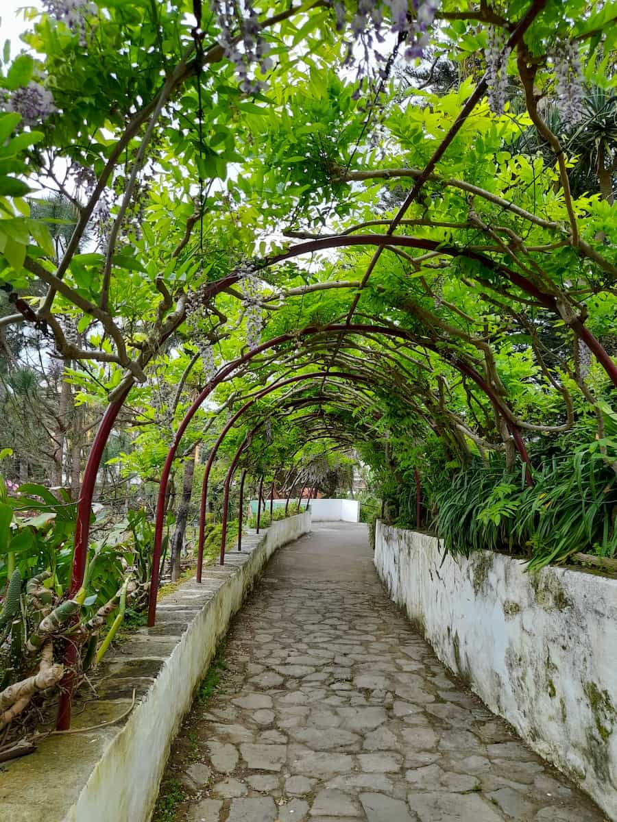 Jardim Duque da Terceira