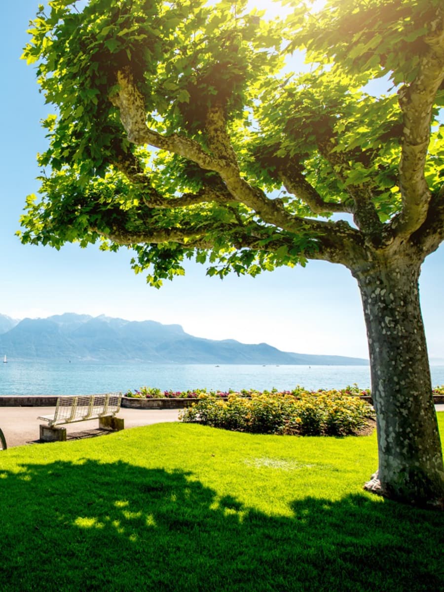 Jardin du Rivage, Vevey