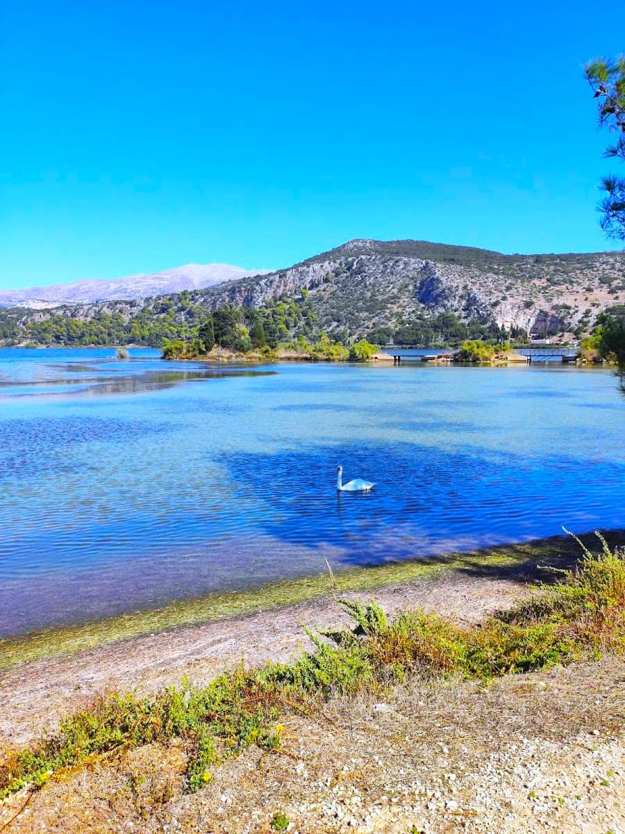 Koutavos Lagoon, Argostoli