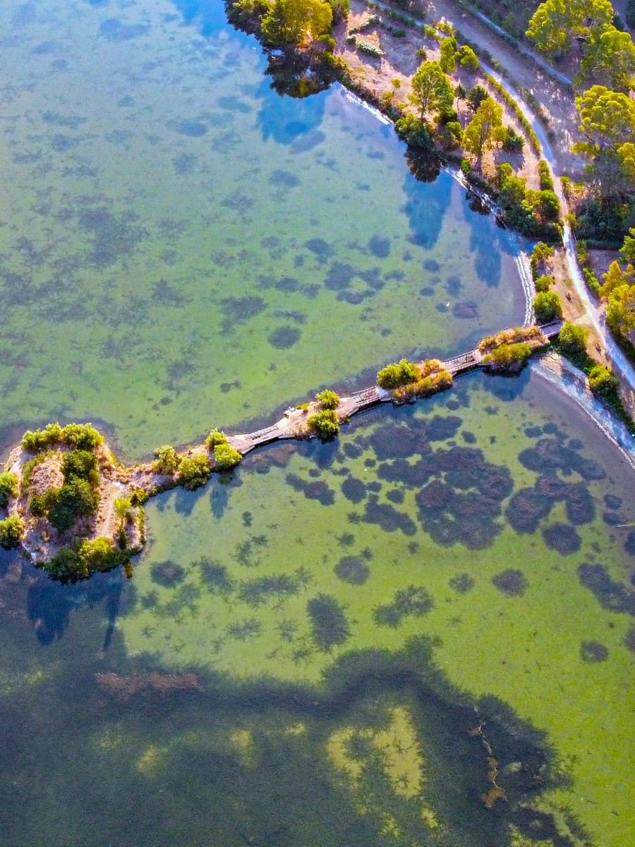 Koutavos Lagoon, Argostoli