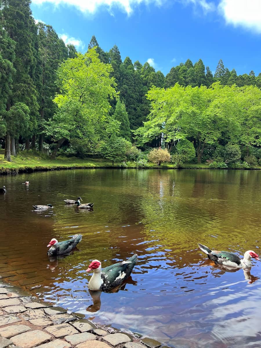 Lagoa das Patas Terceira