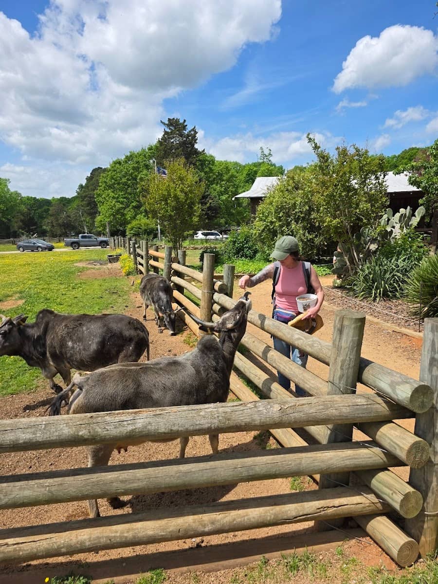 Lazy 5 Ranch, Charlotte, NC