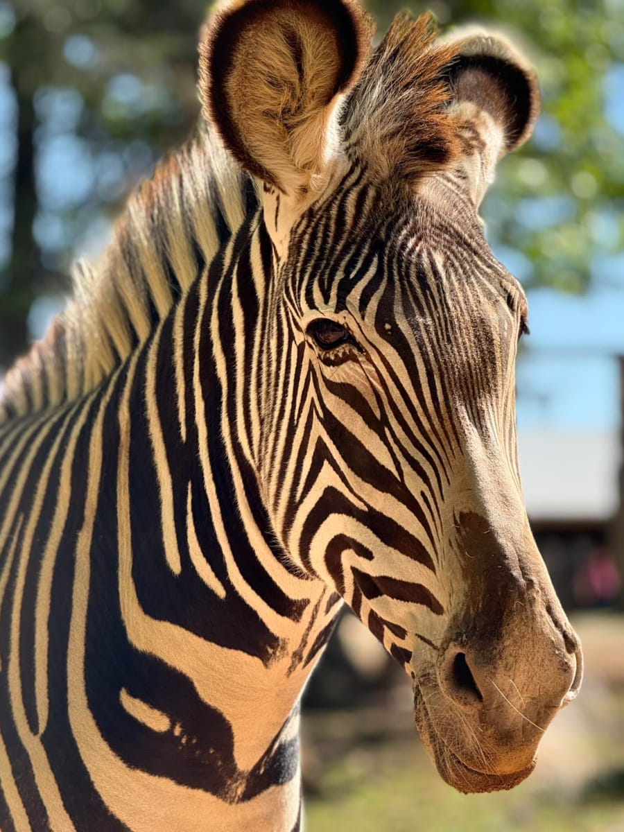 Lazy 5 Ranch, Charlotte, NC