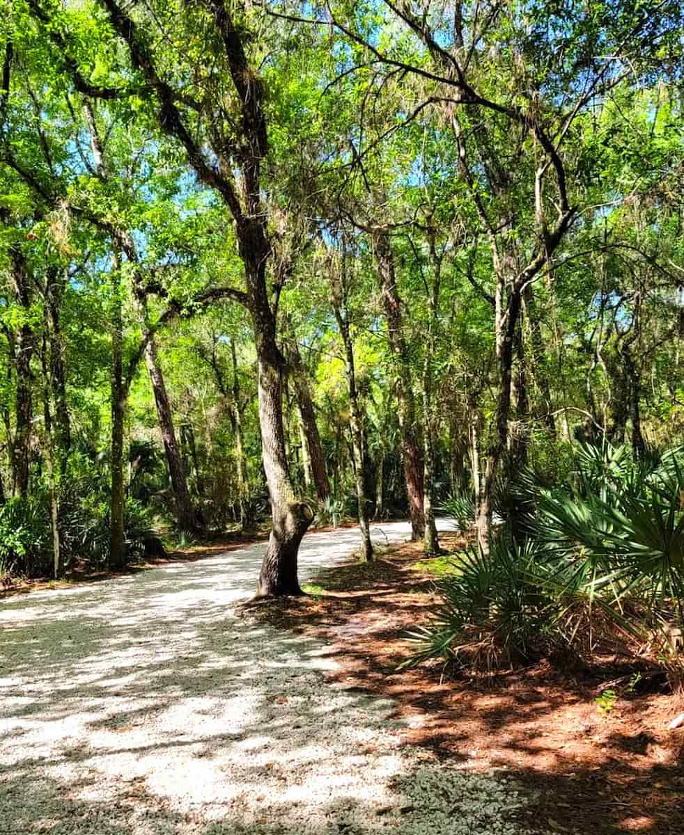 Lettuce Lake Park, Tampa