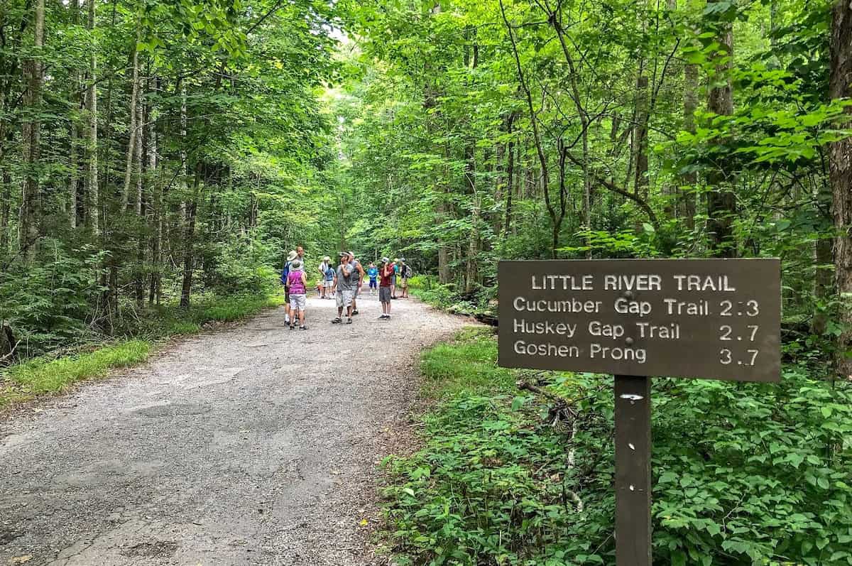 Little River Trail Gatlinburg