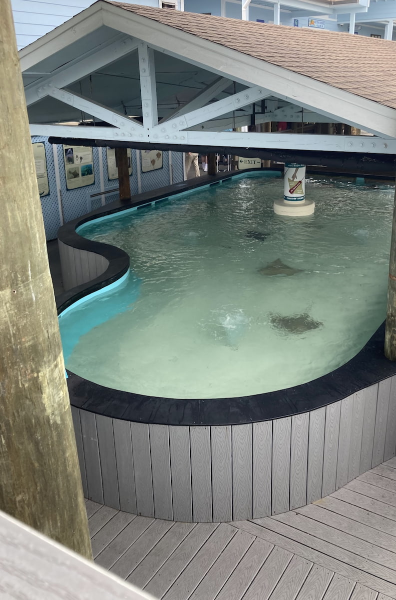 Manatee Viewing Center