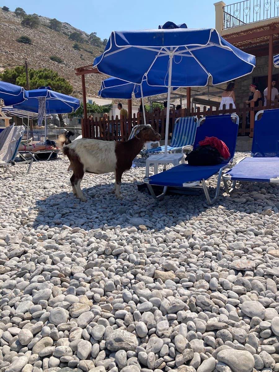Marathounda beach, Symi