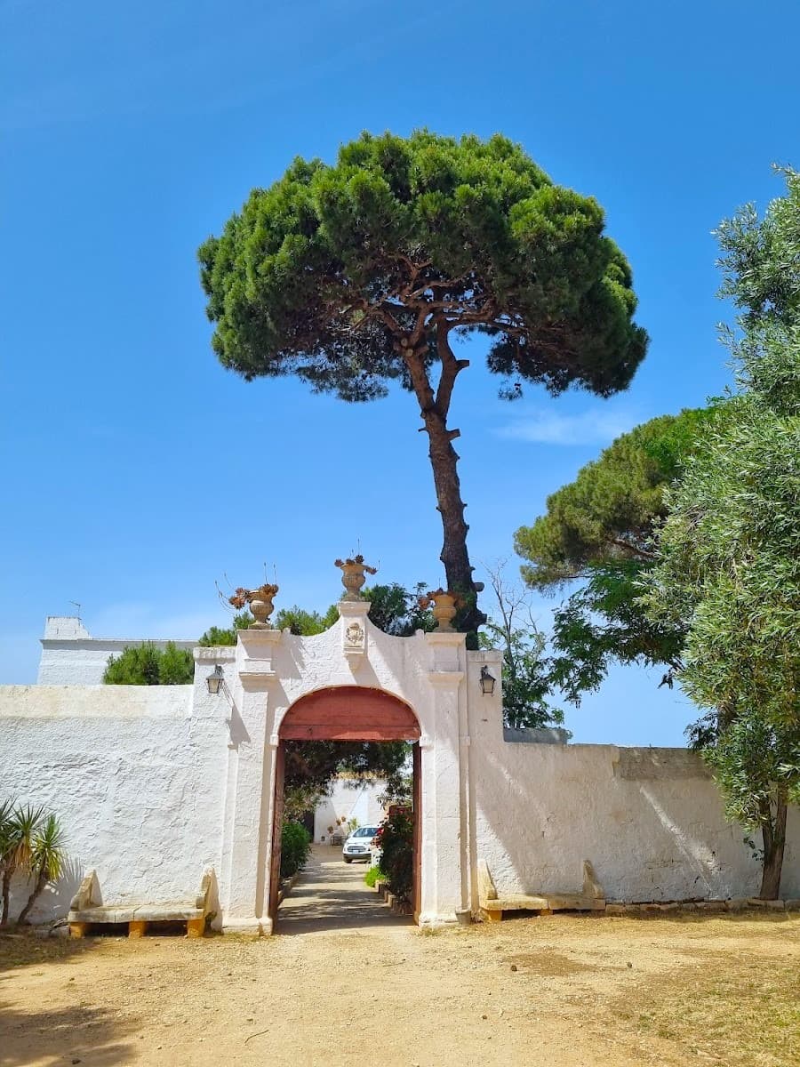 Masseria Brancati, Ostunia