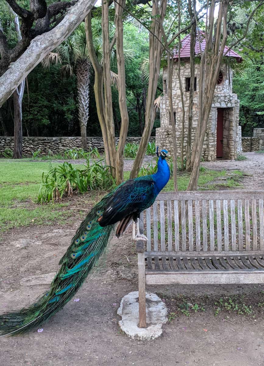 Mayfield Park, Austin