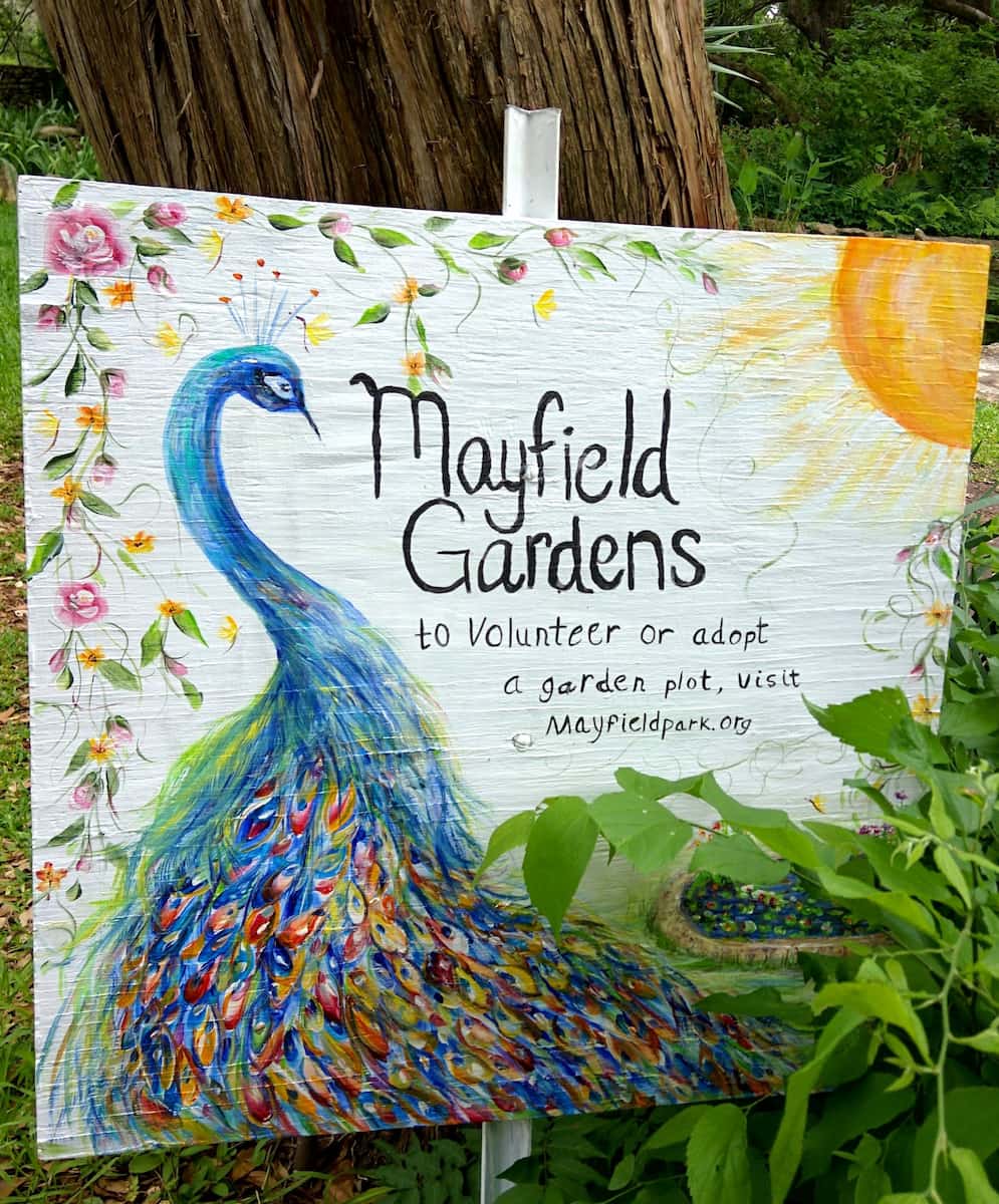 Mayfield Park, Austin