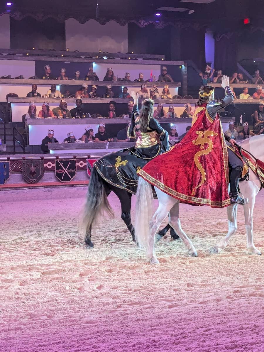 Inside of Medieval Times , Myrtle Beach, SC