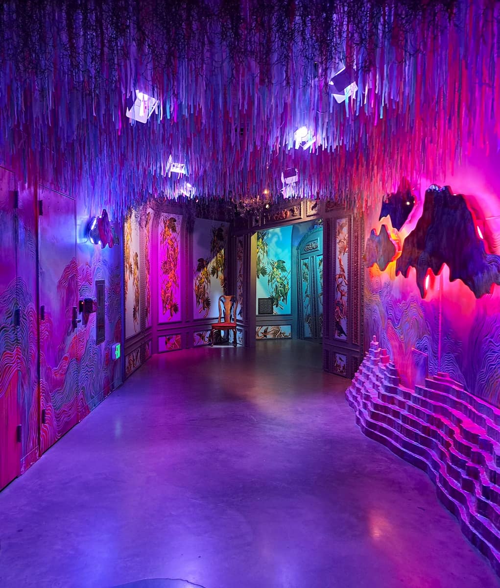Meow Wolf, Denver