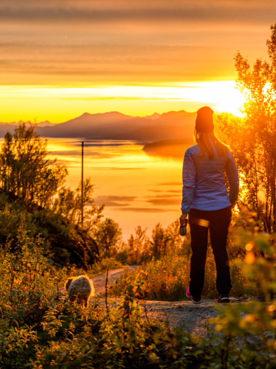Midnight Sun, Narvik