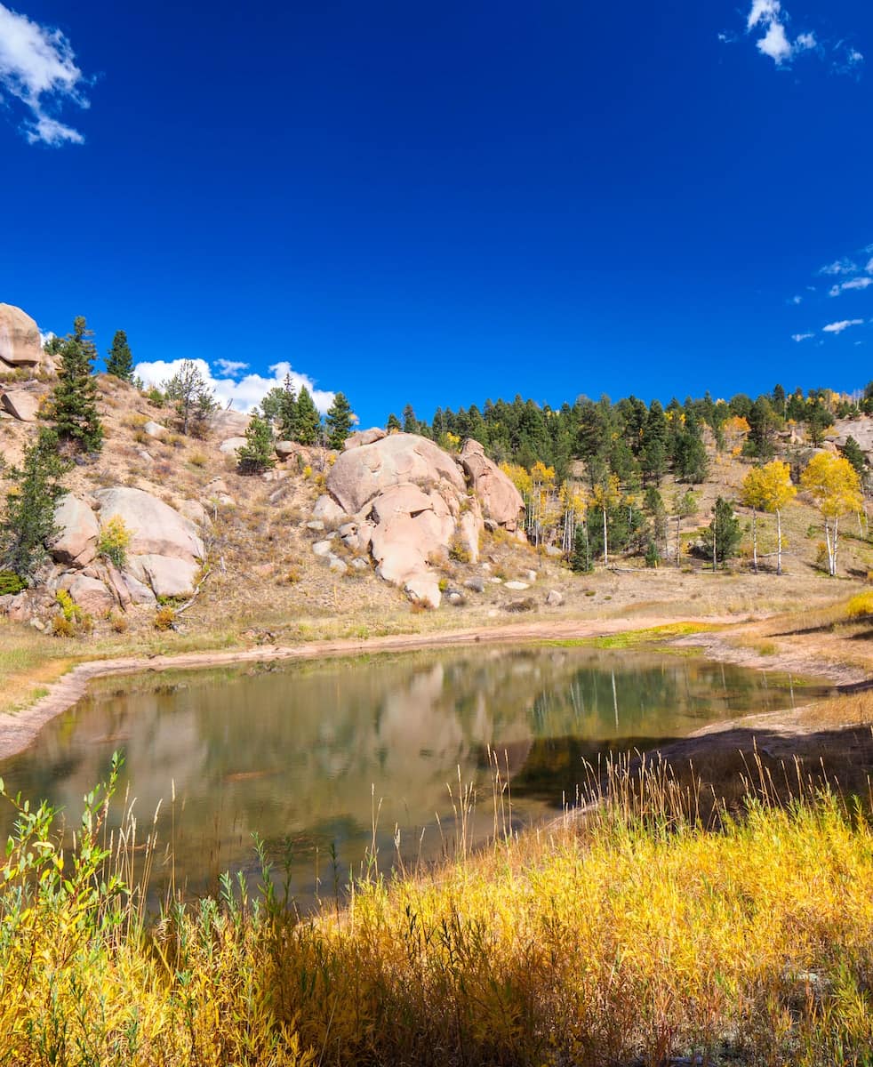 Mueller State Park Colorado Springs