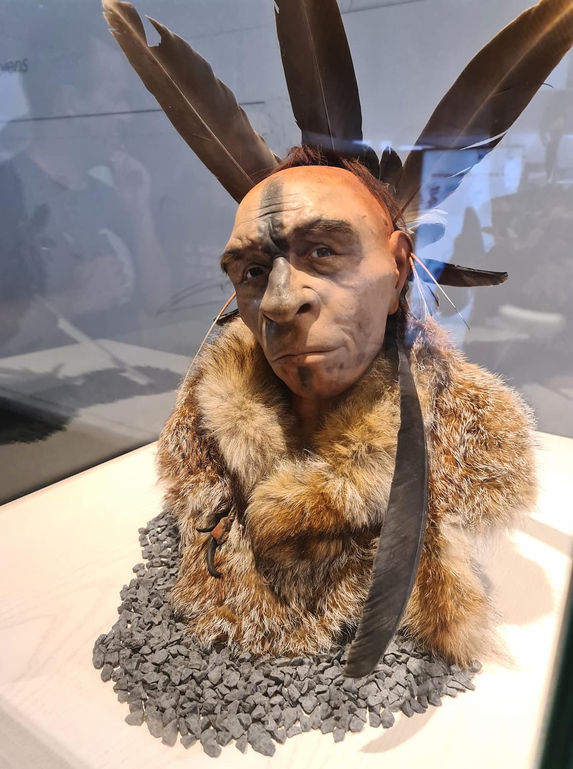 Museum of Human Evolution, Burgos