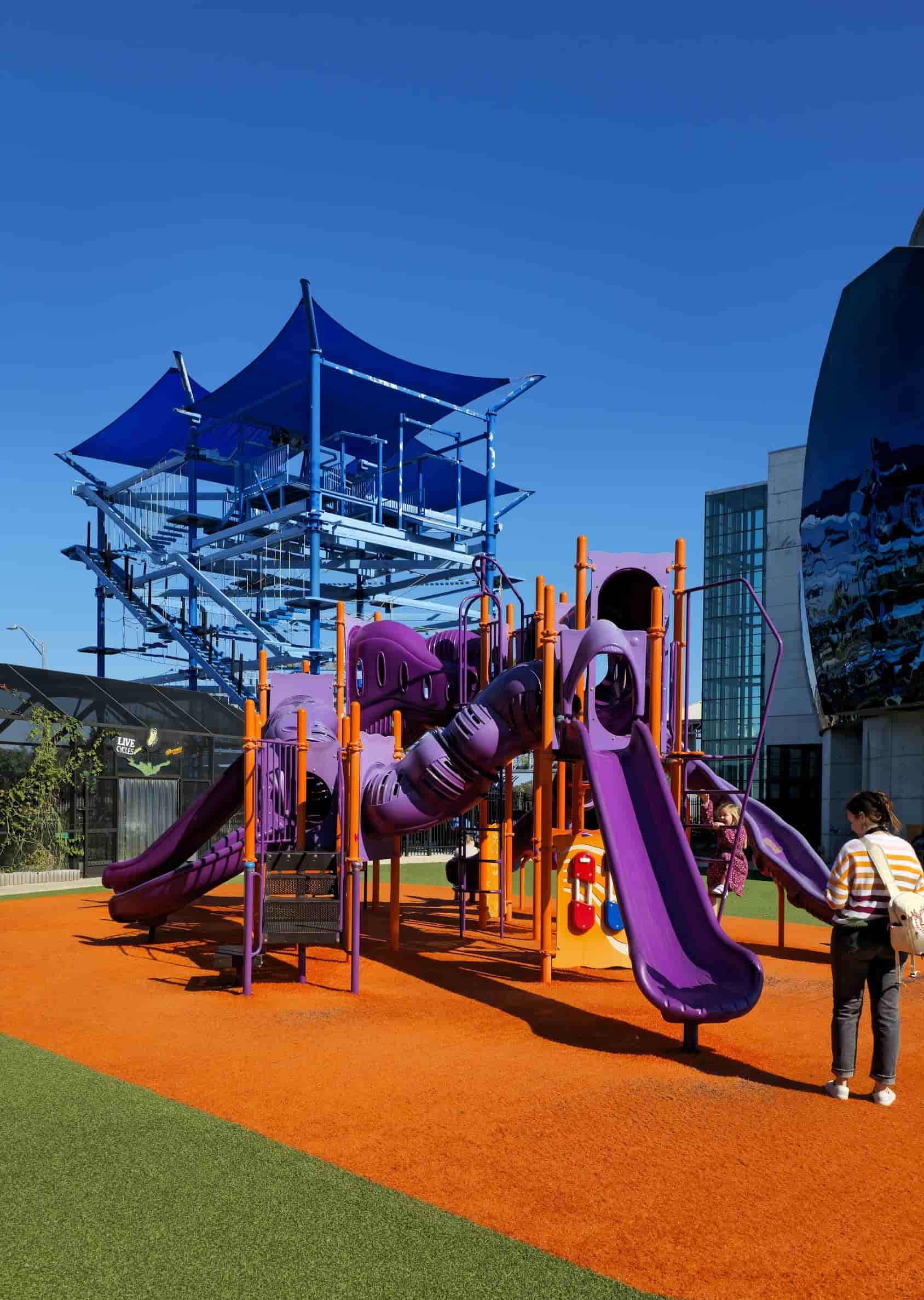 Museum of Science and Industry, Tampa