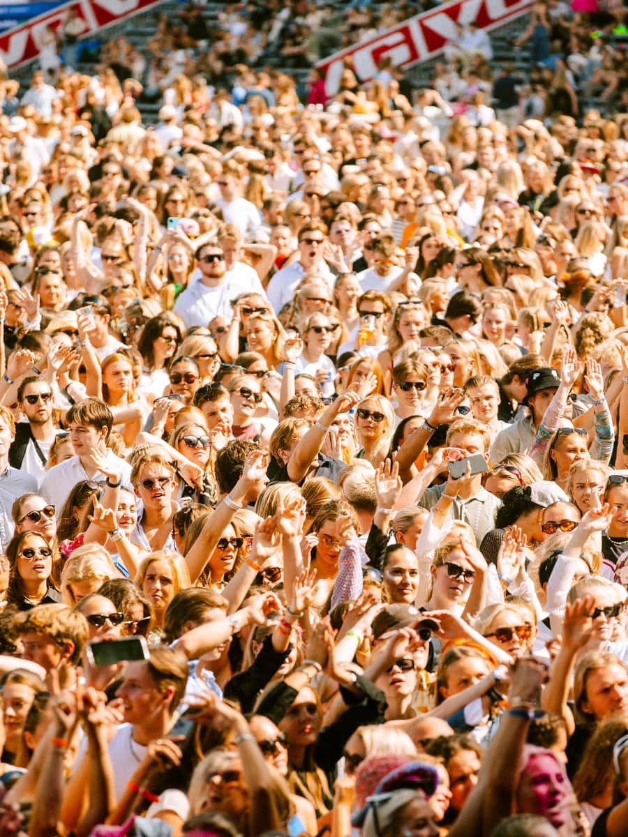 Narvik Summer Festival