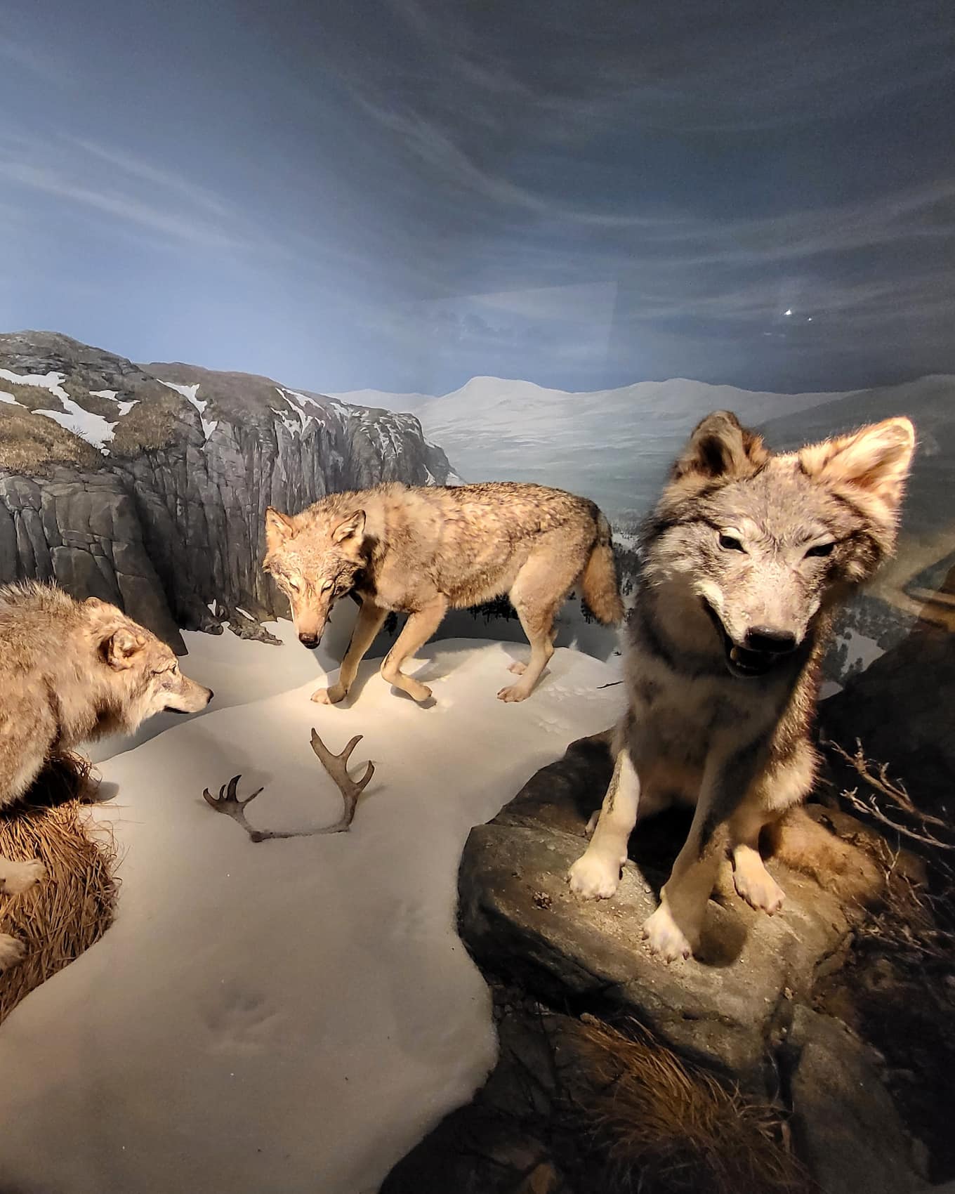 Natural History Museum Kristiansand