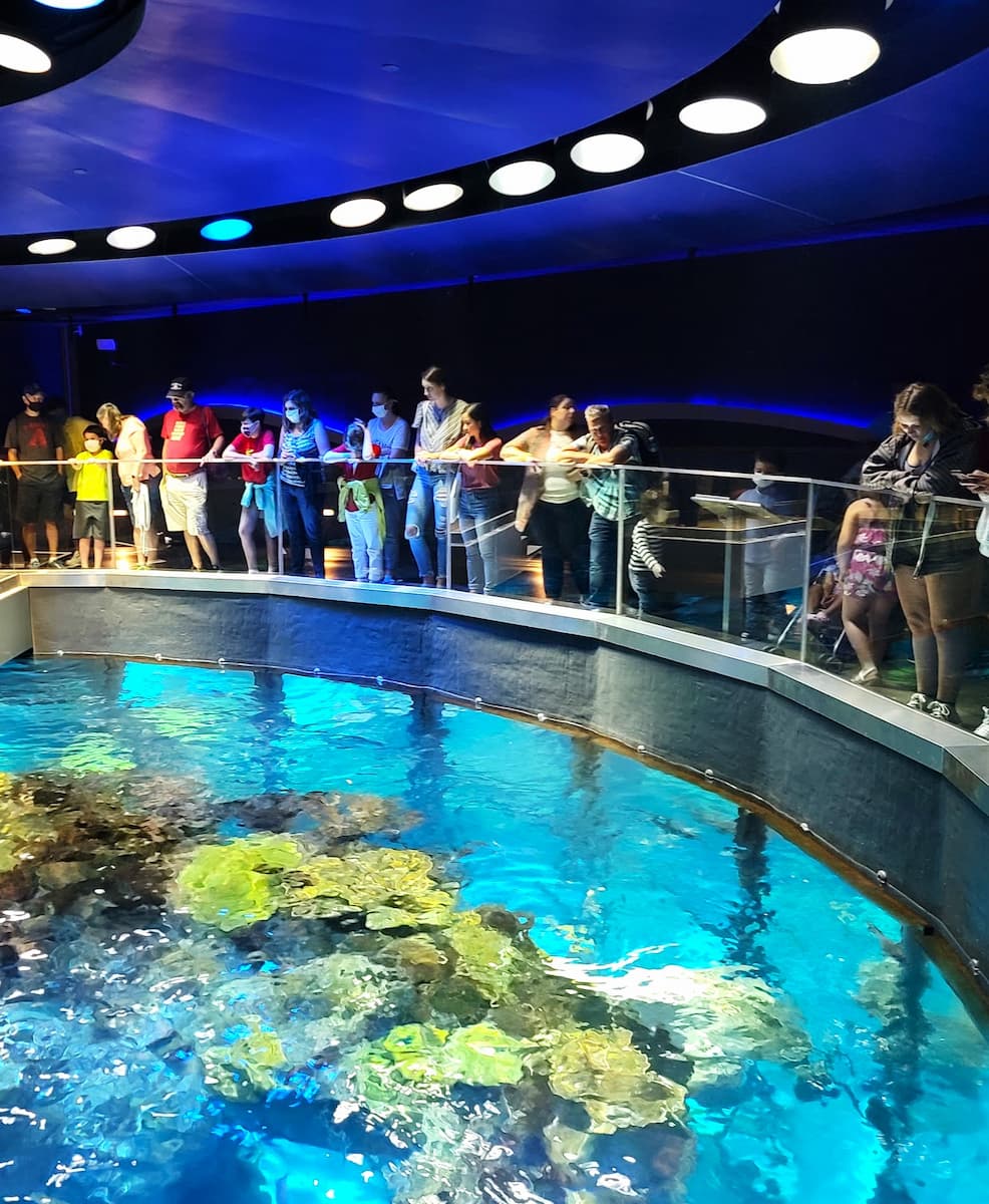 New England Aquarium, Boston