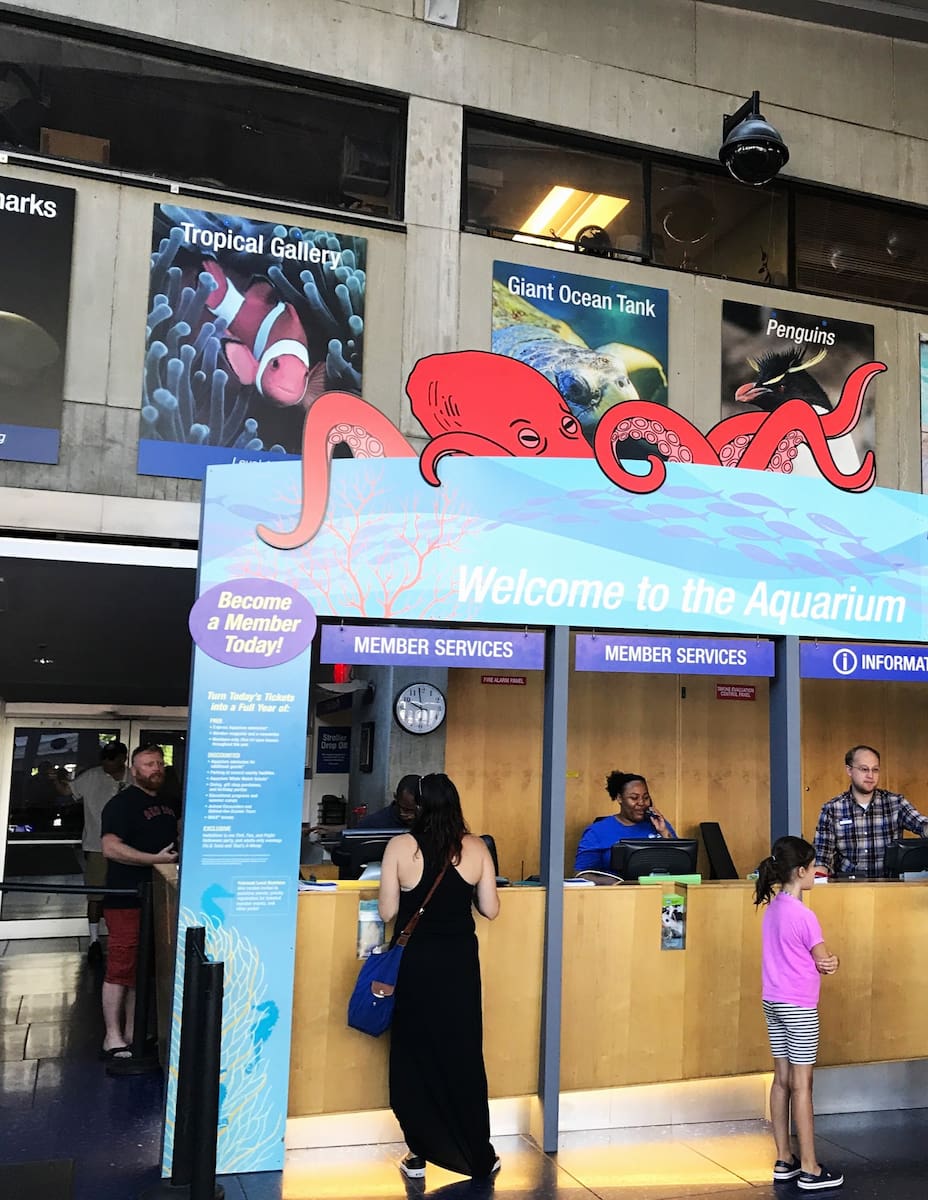 New England Aquarium, Boston