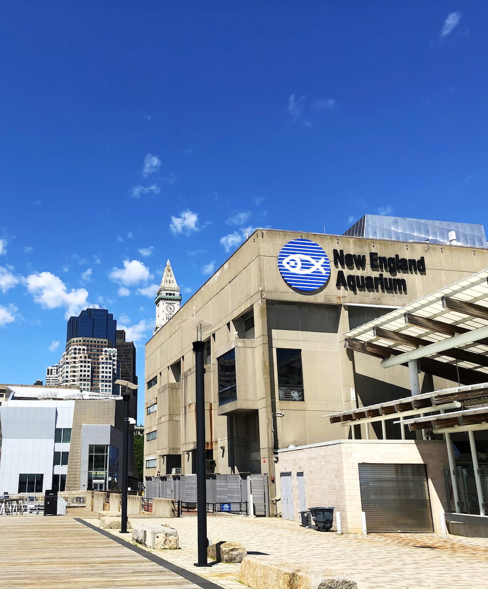 New England Aquarium, Boston