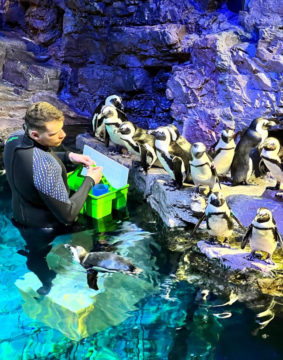 New England Aquarium, Boston