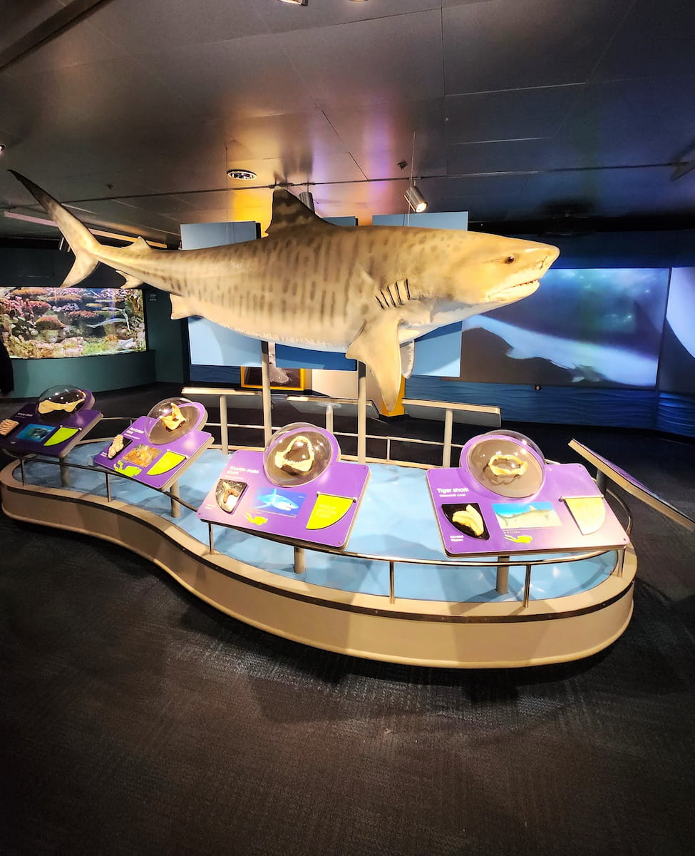 New England Aquarium, Boston