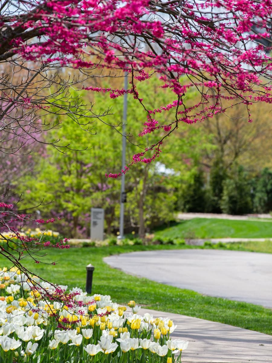 Newfields, Indianapolis