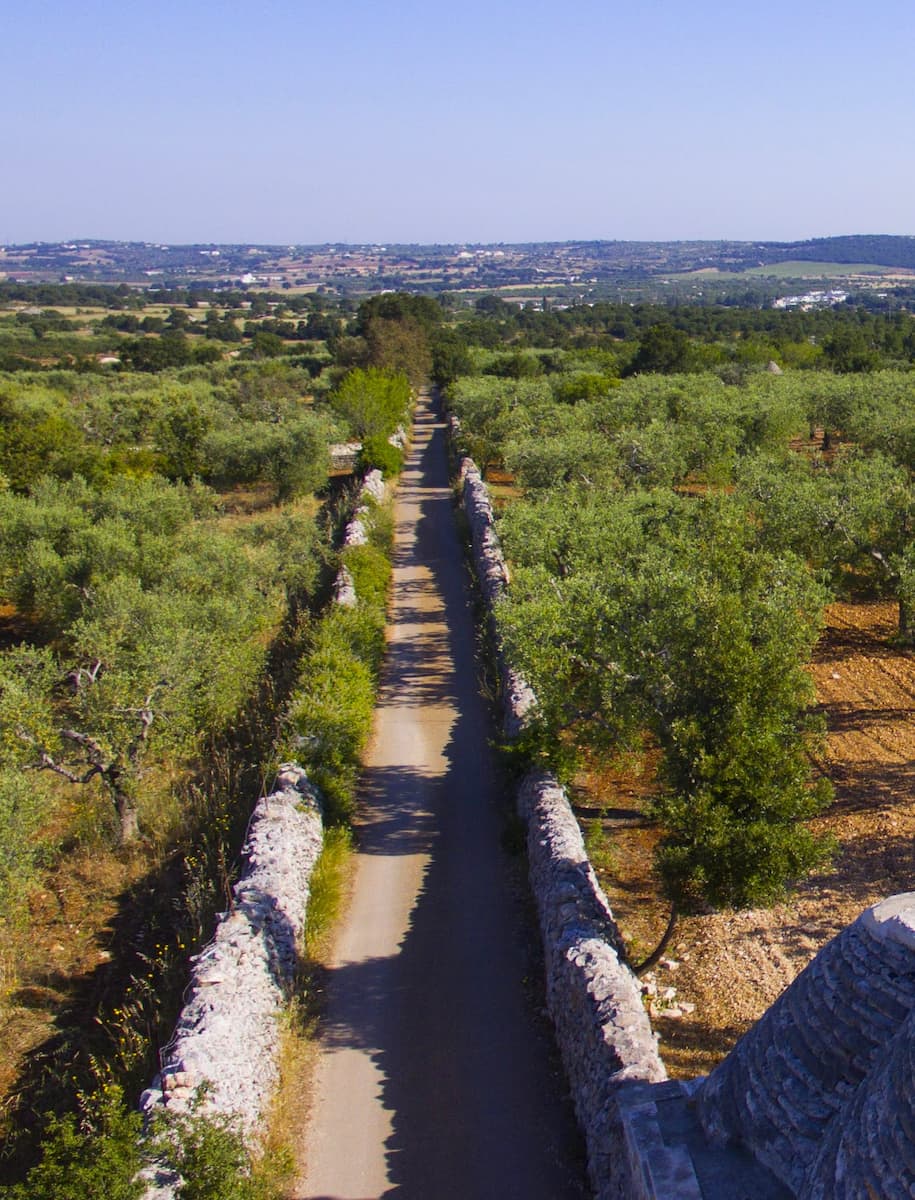 Olive Festival at the Factory, Alberobello