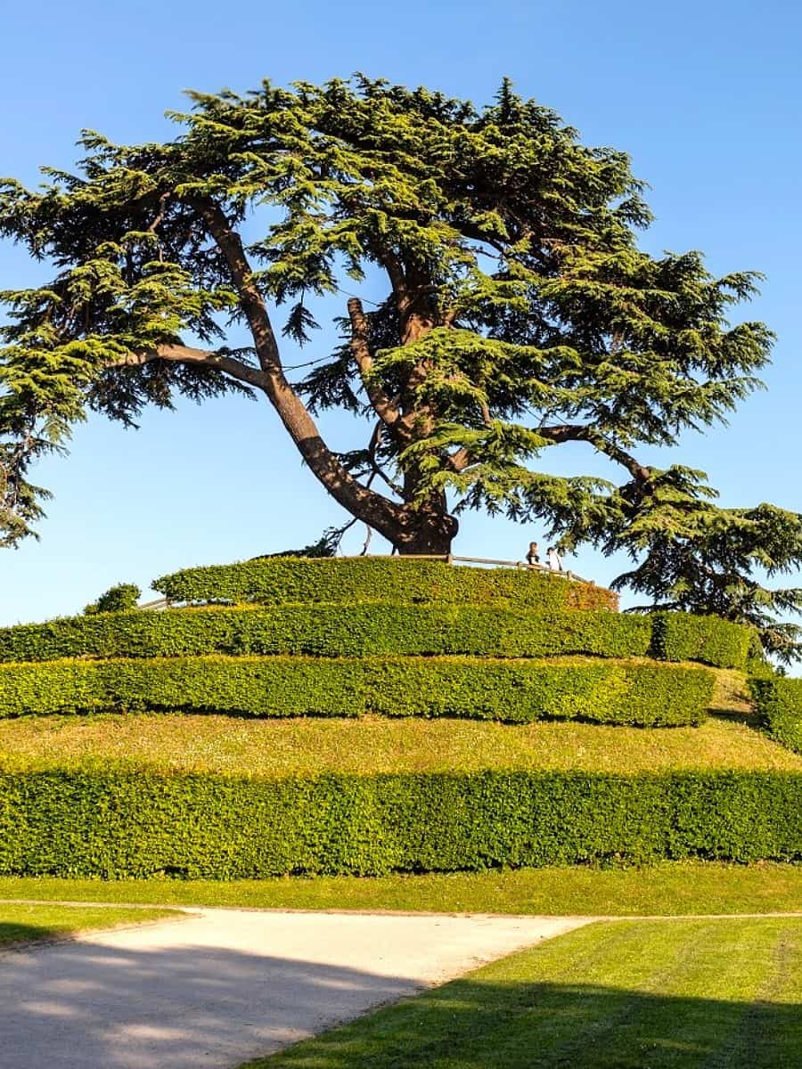 Parc Michel d'Ornano, Caen