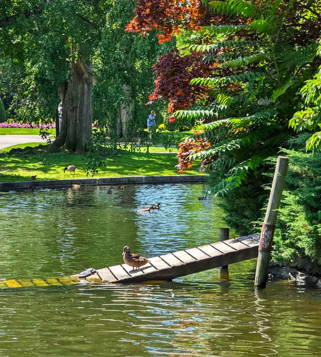 Public Garden, Boston