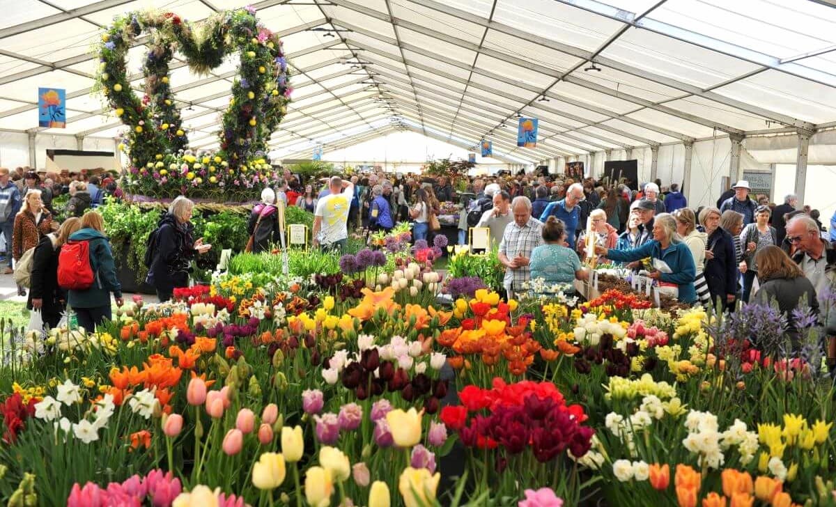 RHS Malvern Spring Festival