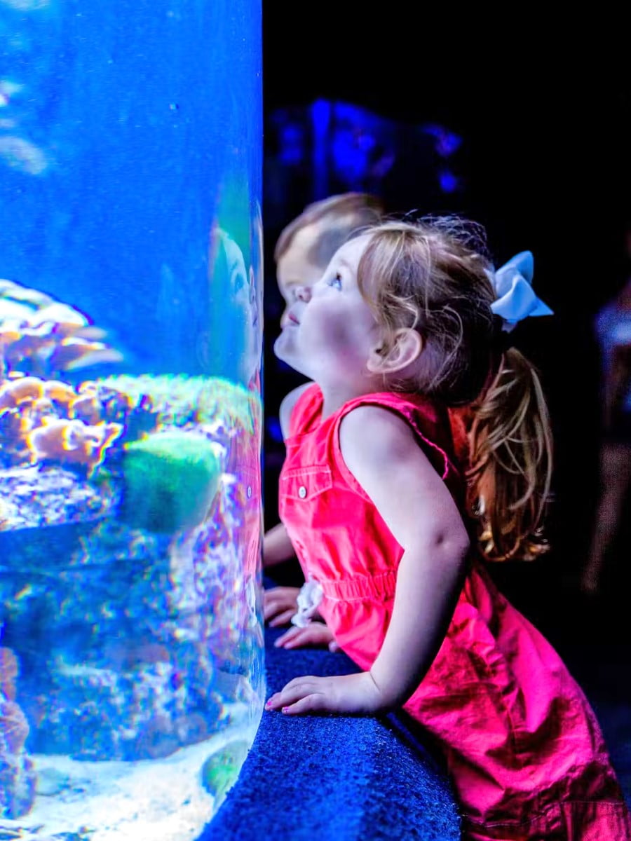 Ripley's Aquarium of Myrtle Beach, Myrtle Beach, SC
