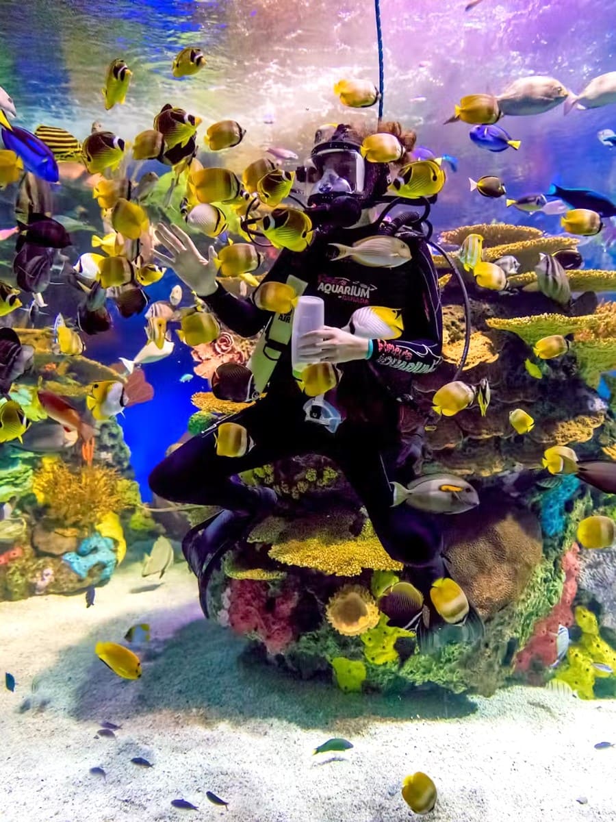 Ripley's Aquarium of Myrtle Beach, Myrtle Beach, SC
