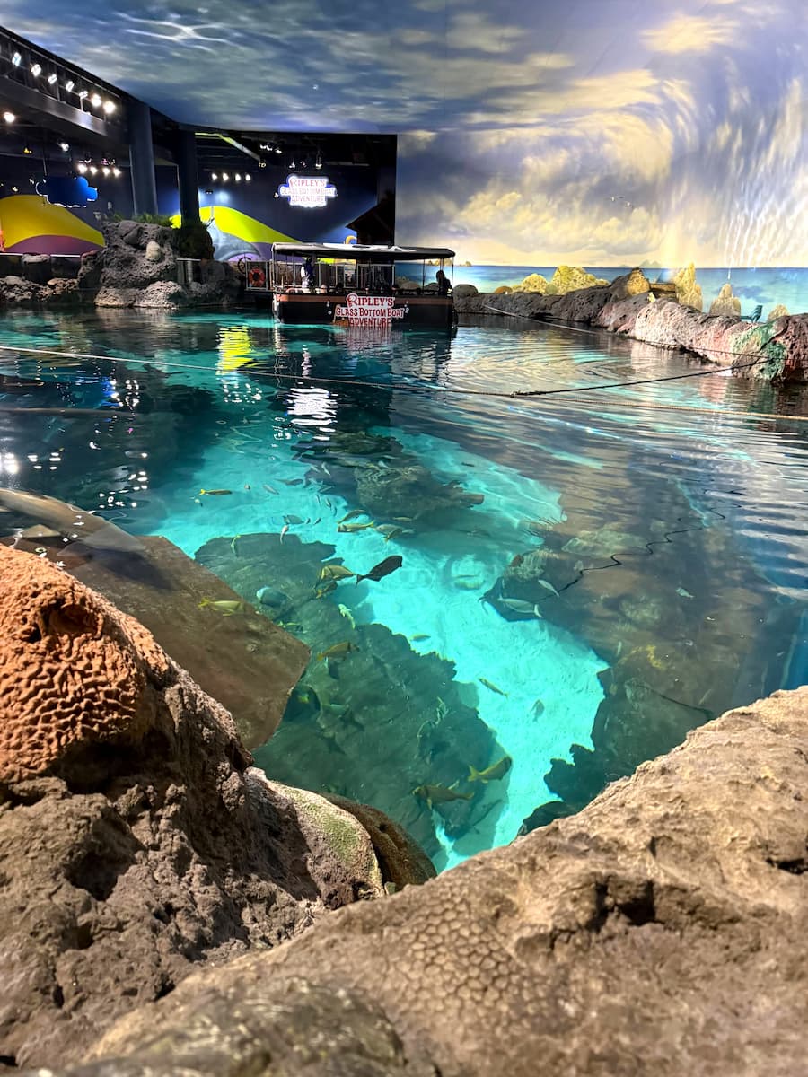 Ripley's Aquarium of the Smokies, Gatlinburg