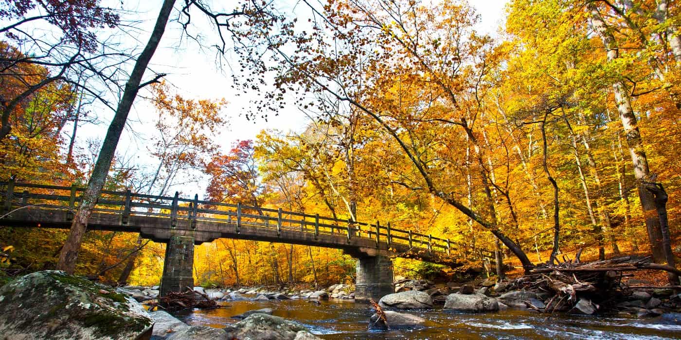 Rock Creek Park, Washington DC