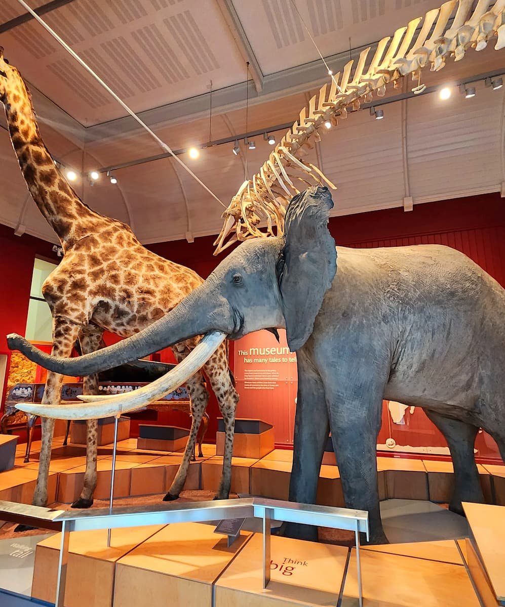 Royal Albert Memorial Museum, South West England