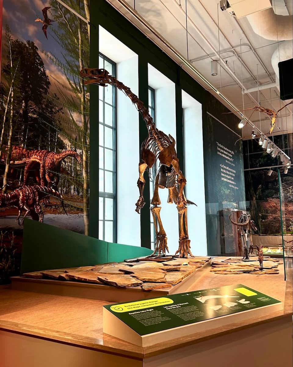 Royal Ontario Museum, Toronto