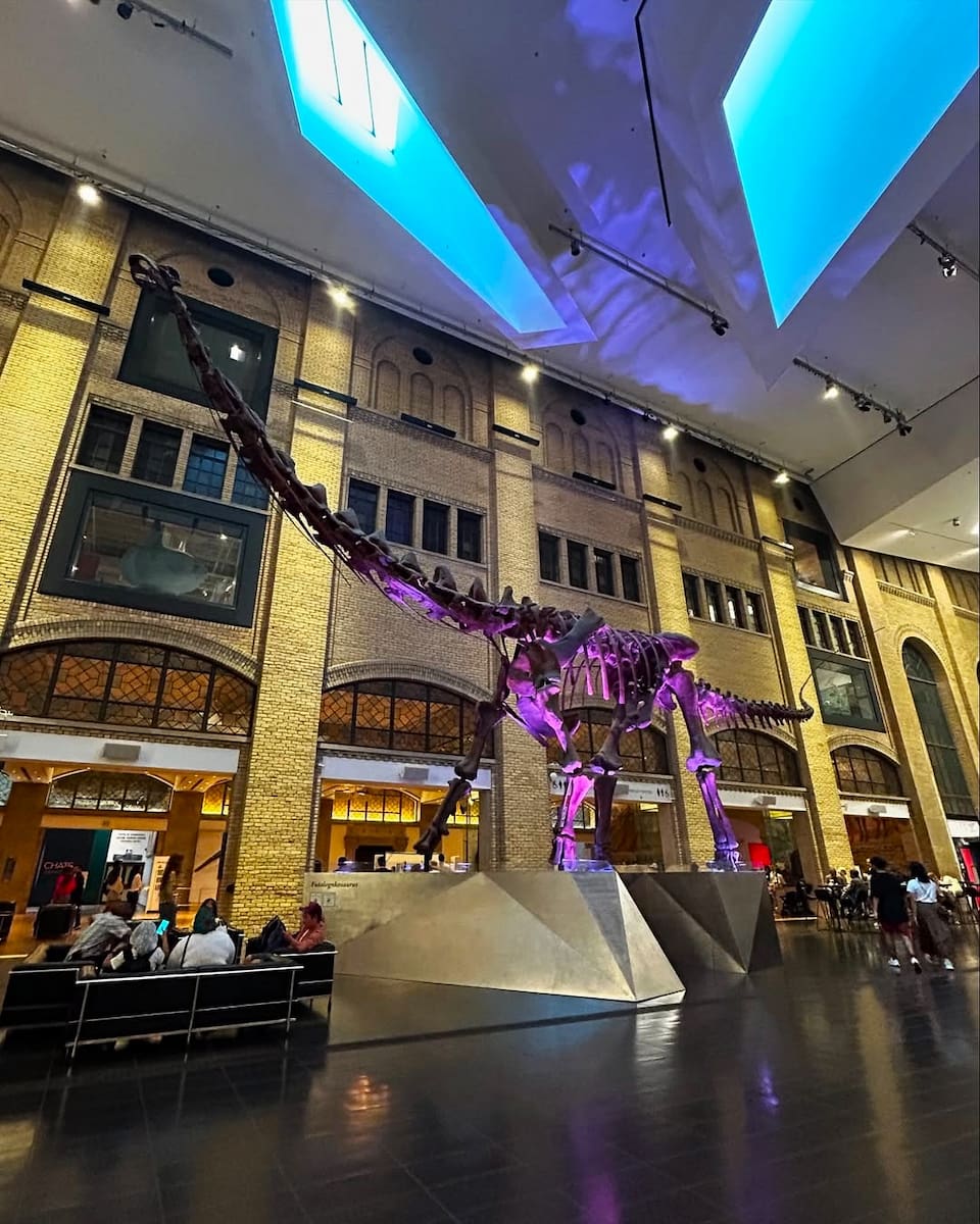 Royal Ontario Museum, Toronto