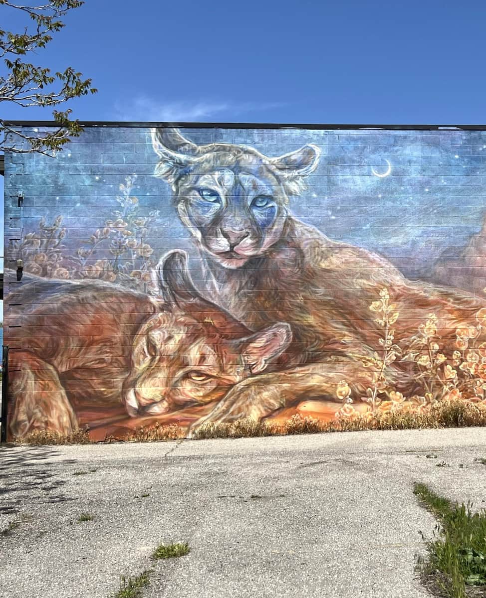 Salt Lake City mural and street art walks