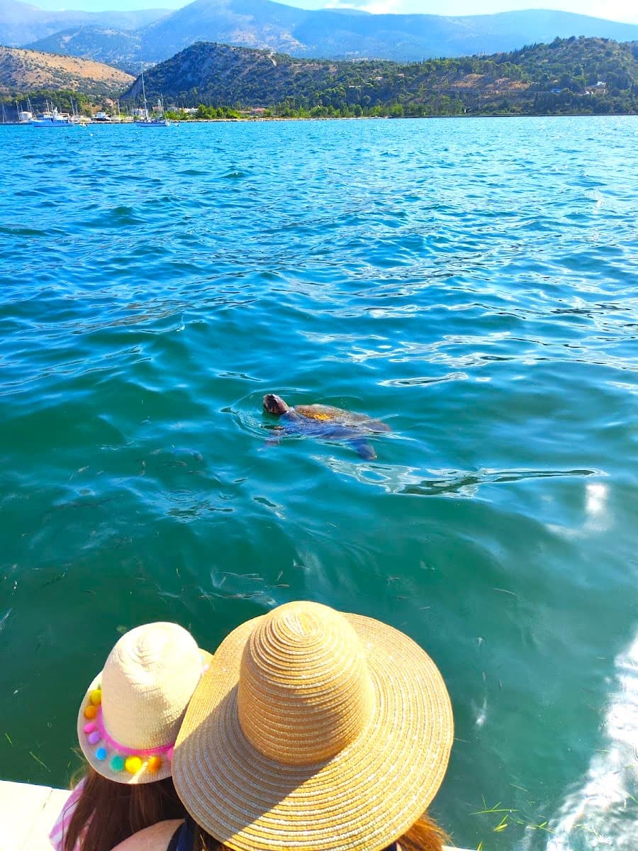 Sea Turtle Viewpoint, Argostoli