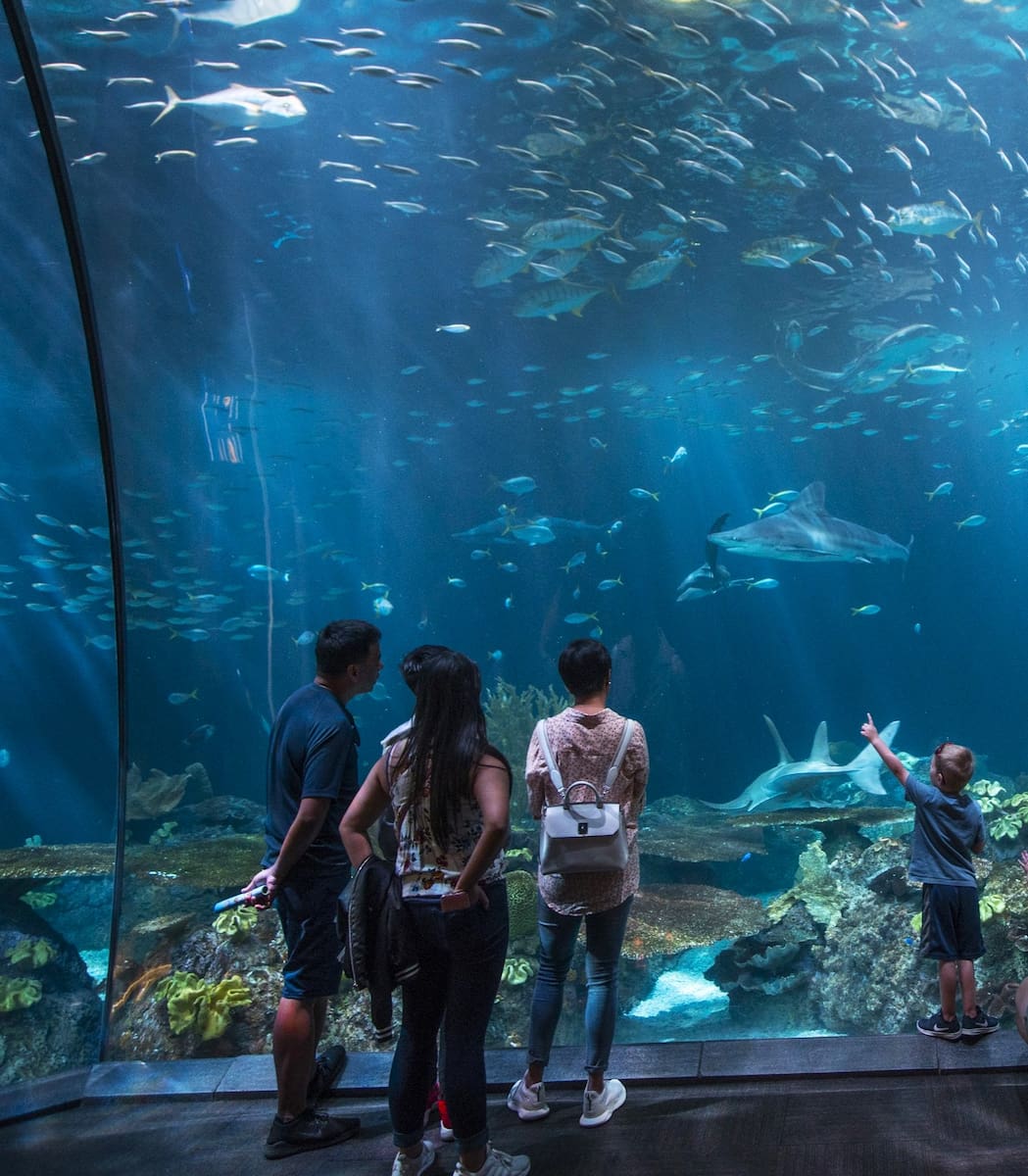 Shedd Aquarium, Chicago